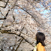 見上げる2