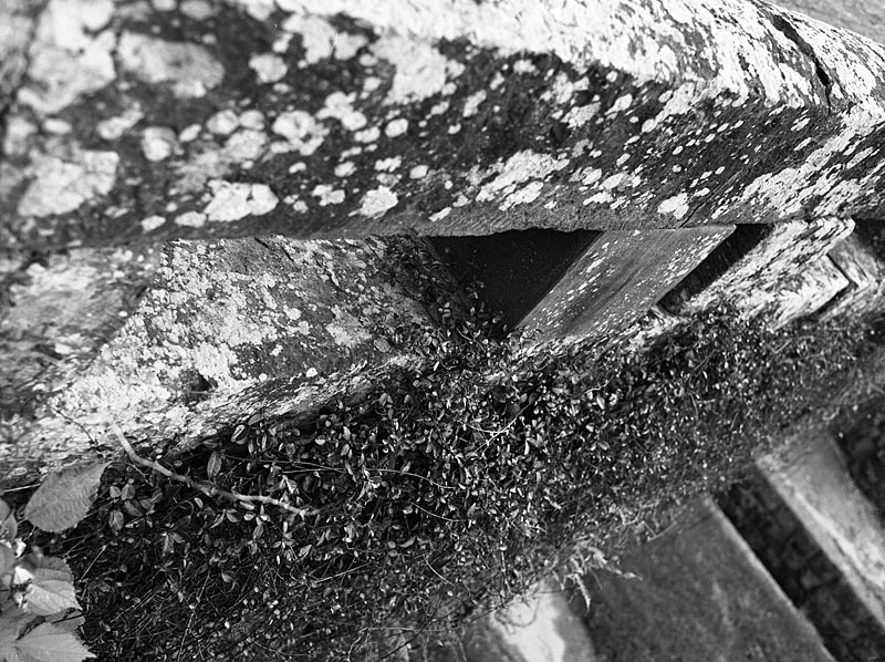 熊本県指定史跡・岩本橋・その七