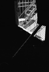 rope_1
