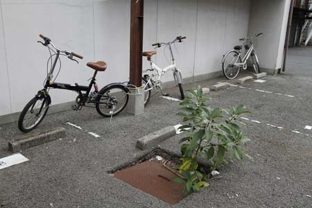 別府路地裏撮影会にて・・・