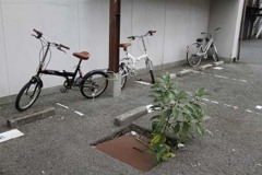 別府路地裏撮影会にて・・・