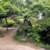 日本庭園・その四
