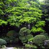 日本庭園・その参