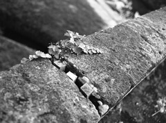 熊本県指定史跡・岩本橋・その四