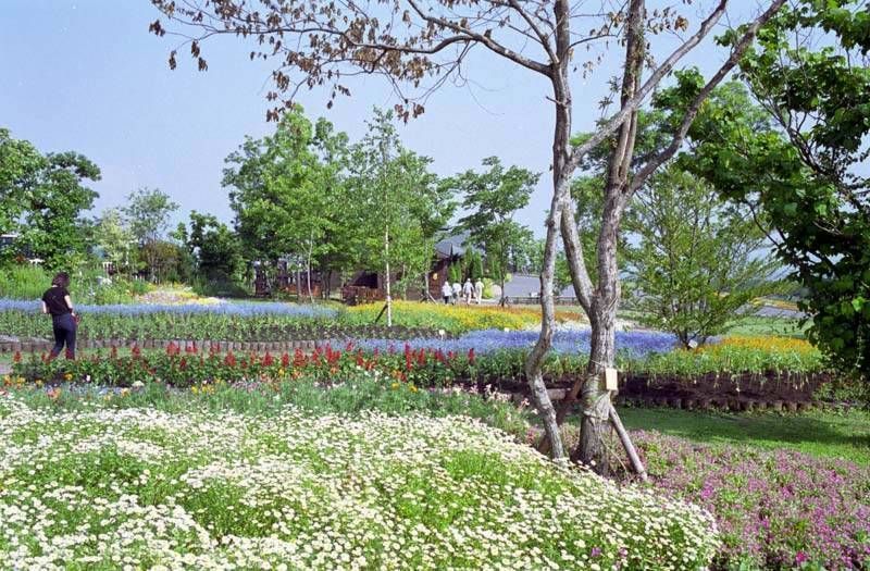 くじゅう花公園の風景・その壱