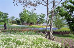 くじゅう花公園の風景・その壱