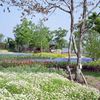 くじゅう花公園の風景・その壱