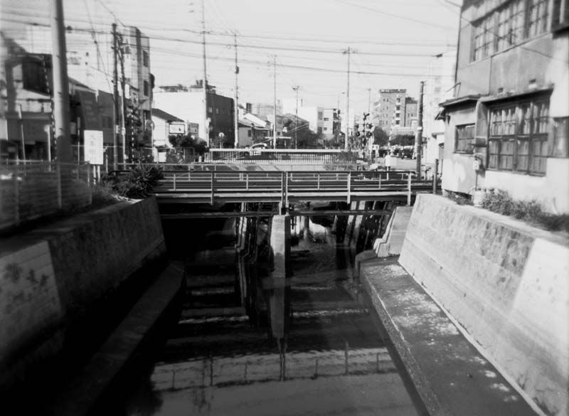 いつもの大牟田川の風景