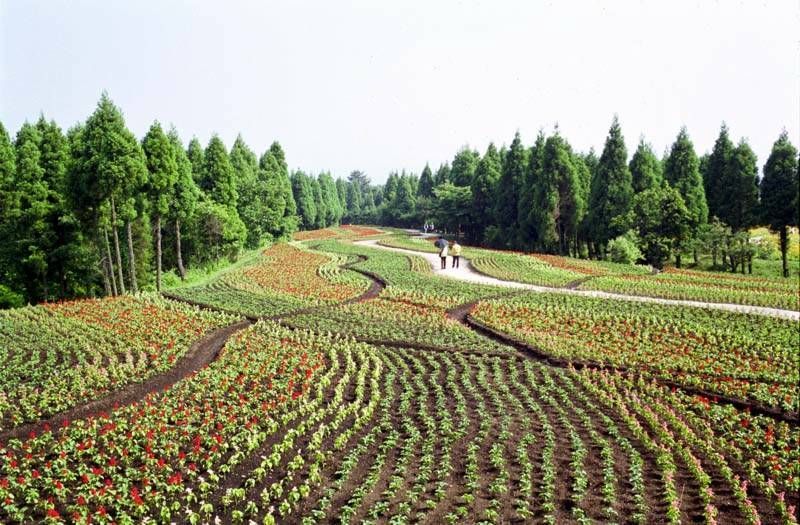 くじゅう花公園の風景・その弐
