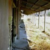 牧場の廃墟・厩舎