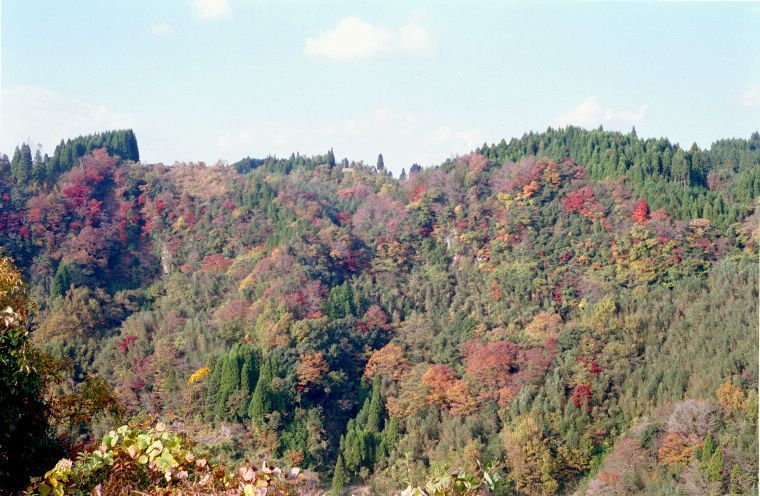 蘇陽峡渓谷・その弐