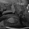 wheel_10