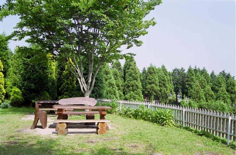 くじゅう花公園の椅子・その弐