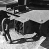 wheel_6