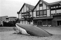 ネイブルランドのクジラ