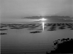 雲仙に沈む夕日