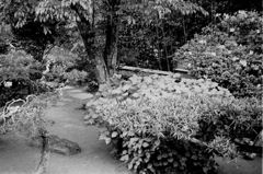 日本庭園４