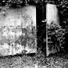 M-door01