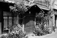 門司港にて・その弐