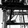 crane01