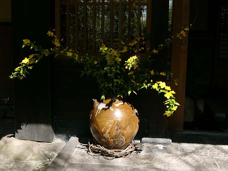 阿蘇・小田温泉のやましのぶの入り口