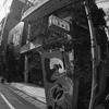 菊水堂