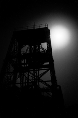 Manda in Moon Light2
