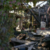 window_3
