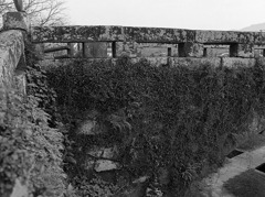 熊本県指定史跡・岩本橋・その八