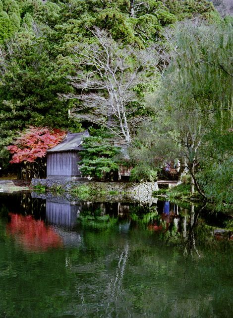 由布院の金鱗湖にて・・・