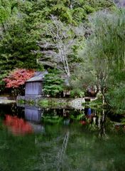 由布院の金鱗湖にて・・・