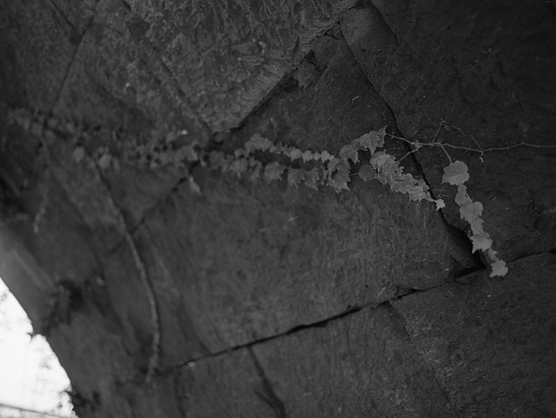 岩本橋・その拾壱