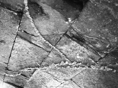 熊本県指定史跡・岩本橋