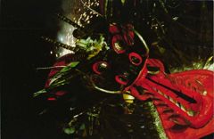 大蛇山の顔・その弐