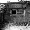 small house