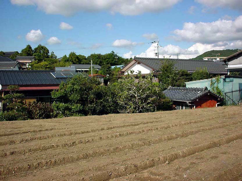 我が家の遠景、道路拡幅でこの畑も半分以下に・・・