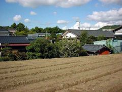 我が家の遠景、道路拡幅でこの畑も半分以下に・・・