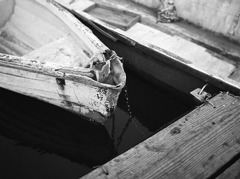 ship_1