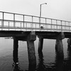 port_8