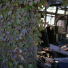 window_4
