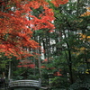 小國神社2