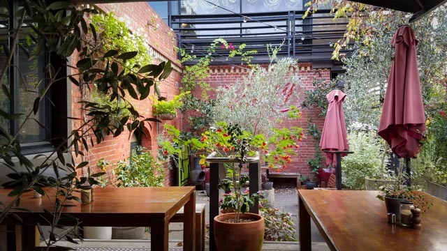 サリー・ヒルズcafe