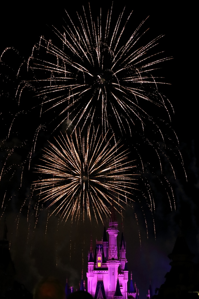 Celebrate the Magic４