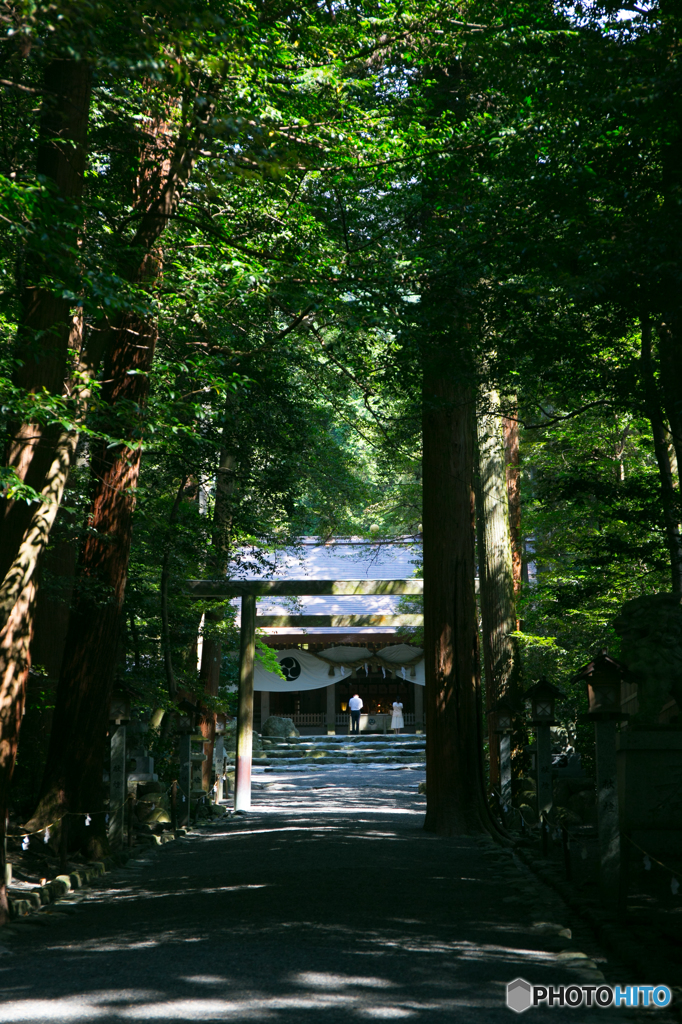 参拝道