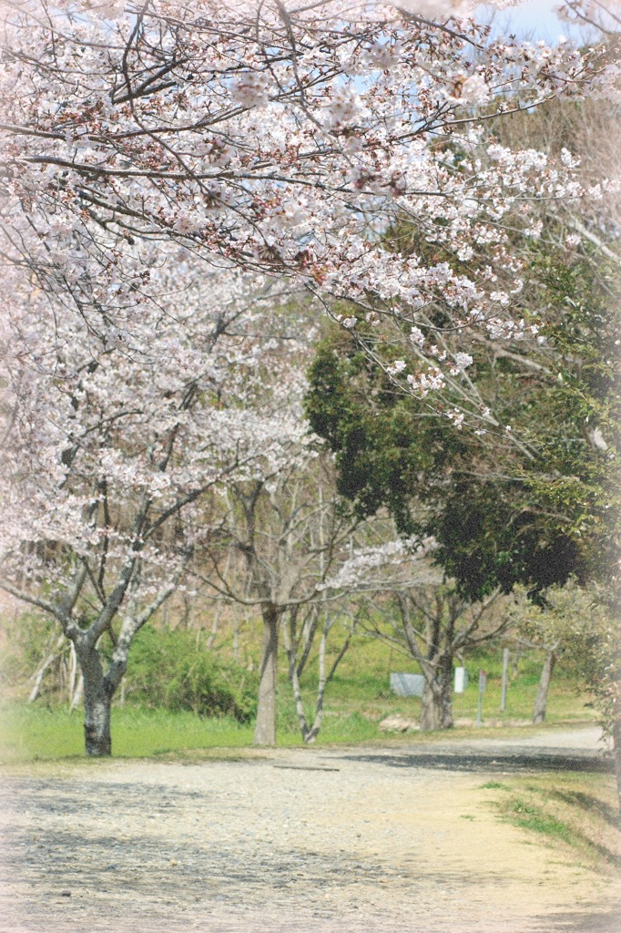 さんぽ道