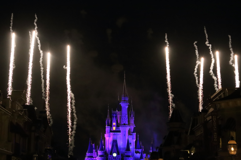 Celebrate the Magic