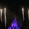 Celebrate the Magic