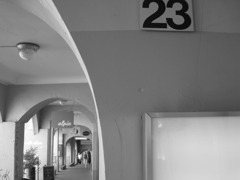 twenty three