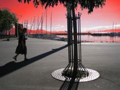 composition - lake side 1