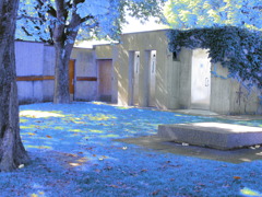 sparkring garden .1